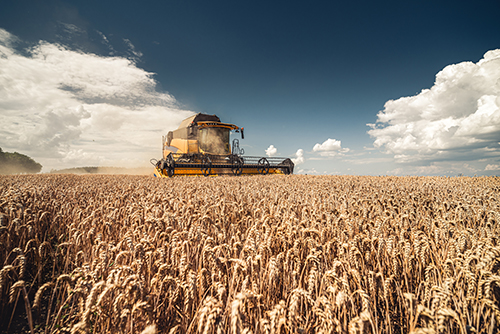 Plastic and Rubber Parts for Agricultural Sector